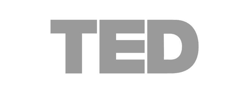TED - STEEL